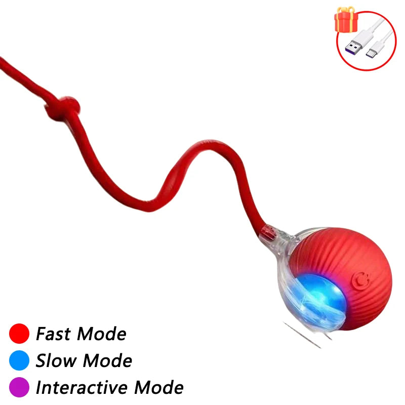 Automatic Cat Teaser Ball™